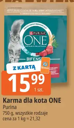 E.Leclerc Karma dla kota ONE Purina oferta