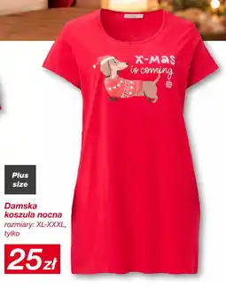 KiK Damska koszula nocna oferta