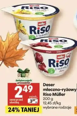 Delikatesy Centrum Deser mleczno-ryżowy Riso Müller oferta