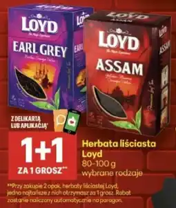 Delikatesy Centrum Herbata liściasta Loyd oferta