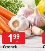 E.Leclerc Czosnek oferta