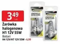 E.Leclerc Żarówka halogenowa H1 12V 55W Bottari oferta