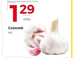 Frac Czosnek oferta