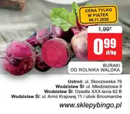 Bingo Buraki od Rolnika Waldka oferta