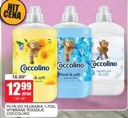 Bingo Płyn do płukania Coccolino oferta
