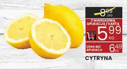 Wafelek Cytryna oferta