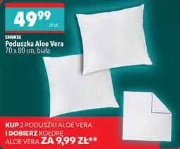 Biedronka Poduszka Aloe Vera oferta