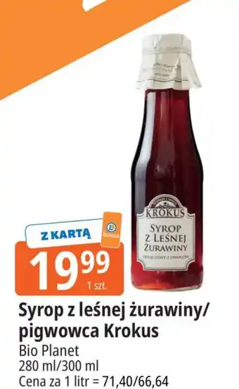 Syrop Krokus