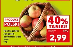 Kaufland Polskie jabłka Jonagold oferta
