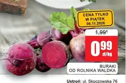 Bingo Buraki od rolnika Waldka oferta