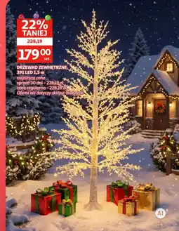 Auchan Drzewko Zewnętrzne oferta
