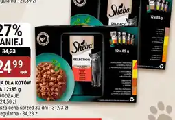 bi1 Sheba Selection oferta