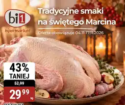 bi1 Cęstuszka oferta
