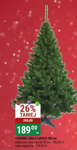 bi1 Choinka Jodła Lupico oferta