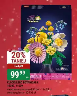 bi1 Klocki LEGO Botanicals: Petite Sunny Bouquet oferta