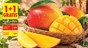 Mango dojrzałe