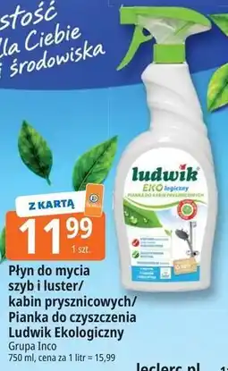 E.Leclerc Płyn do mycia szyb i luster/kabin prysznicowych/Pianka do czyszczenia Ludwik Ekologiczny oferta
