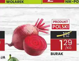 Wafelek Buraki oferta