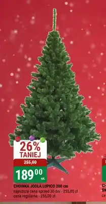bi1 Choinka jodła Lupico 200 cm oferta