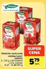 Carrefour Market Herbata owocowa HERBACIANY OGRÓD Herbapol oferta