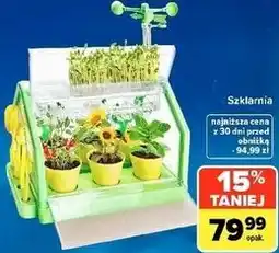 Carrefour Market Zabawka Szklarnia oferta