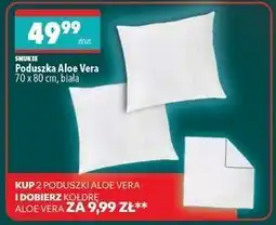 Biedronka Poduszka Aloe Vera 70 x 80 cm biała Smukee oferta