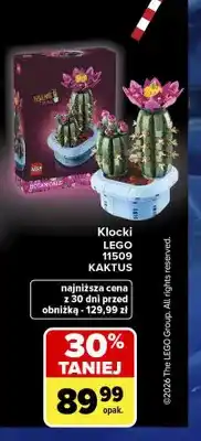Carrefour Klocki LEGO 11509 Kaktus oferta