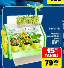 Carrefour Szklarnia oferta
