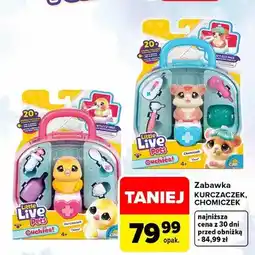 Carrefour Zabawka kurczaczek Little Live Pets oferta