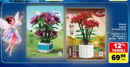Carrefour Klocki kwiat w doniczce oferta