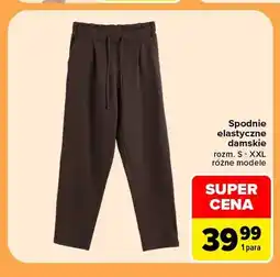 Carrefour Spodnie elastyczne damskie oferta