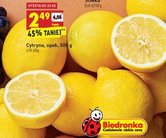 Biedronka Cytryna 500g oferta