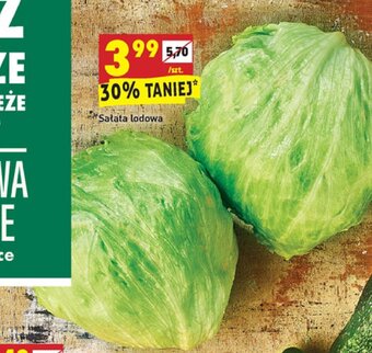 Biedronka Sałata lodowa oferta