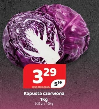 Delfin Kapusta czerwona 1kg oferta
