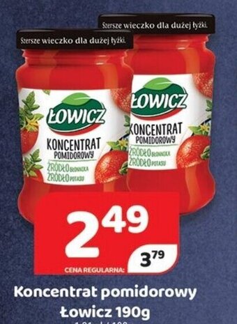 Delfin Koncentrat pomidorowy Łowicz 190g oferta
