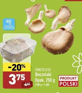 ALDI Boczniaki 250g oferta
