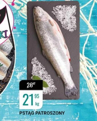bi1 Pstrąg patroszony 1kg oferta