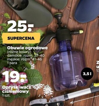 Netto Opryskiwacz ciśnieniowy oferta