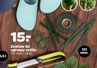 Netto Zestaw do uprawy roślin oferta