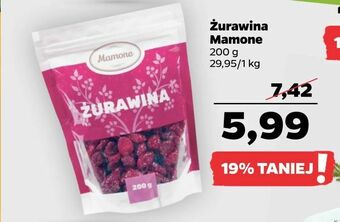 Netto Żurawina Mamone oferta