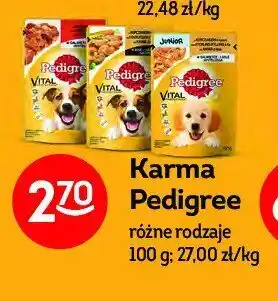 Żabka Karma dla psa kurczak z warzywami w sosie 1 SZT 100 G oferta