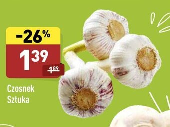 ALDI Czosnek oferta
