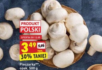 Biedronka Pieczarka 500g oferta