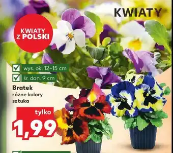 Kaufland Bratek 1 SZT oferta