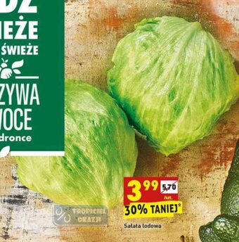 Biedronka Sałata lodowa 1 szt. oferta