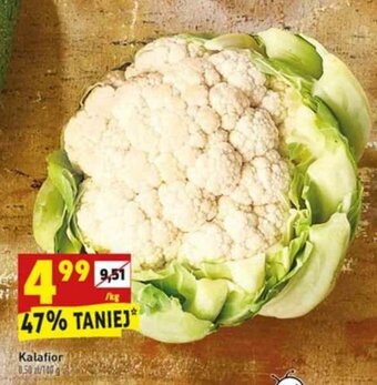 Biedronka Kalafior 1kg oferta