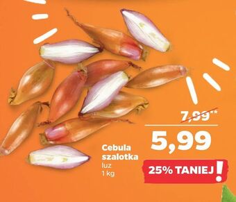 Netto Cebula szalotka oferta