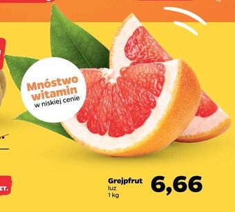 Netto Grejpfrut oferta