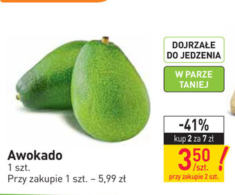 Stokrotka Awokado 2szt. oferta