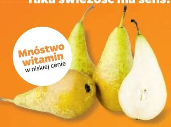 Netto Gruszka Konferencja oferta